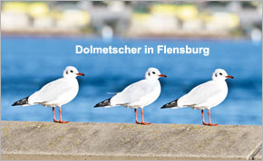 Dolmetscher in Flensburg